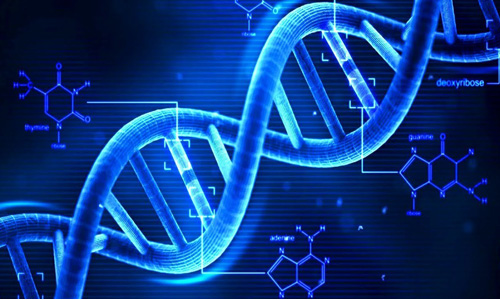 Farmaceutiska renade vattensystem i bioteknik